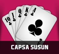 Capsa Susun